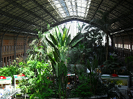Jardín Tropical